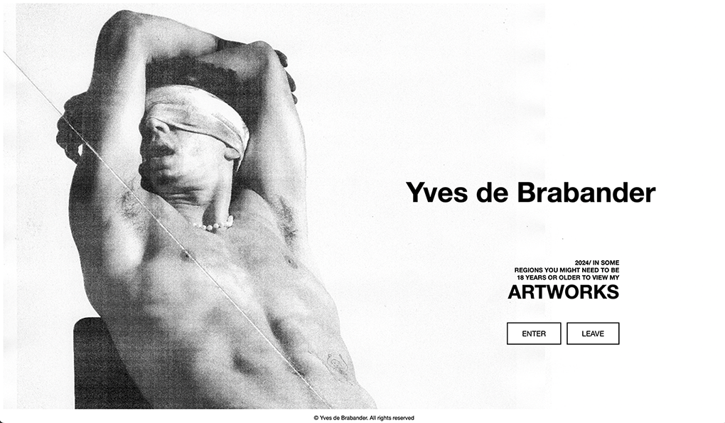 website yves de brabander
